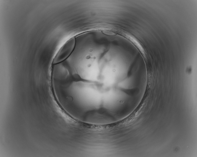 X0000091081099200708061332