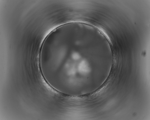 X0000091081100200708061332
