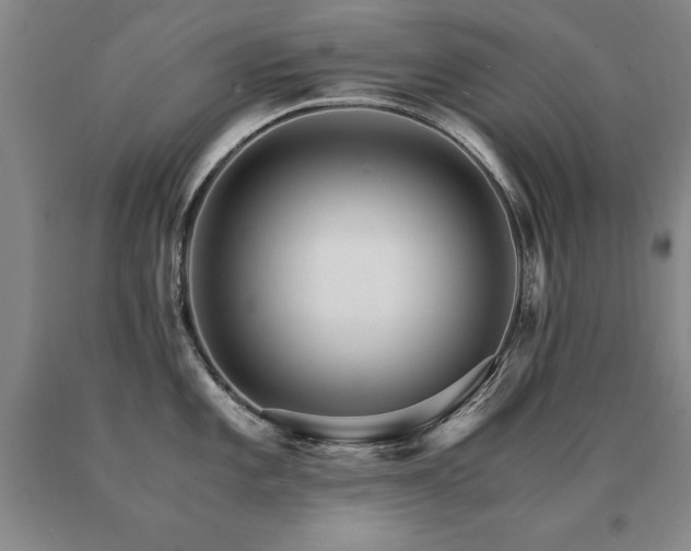 X0000091081101200708061332