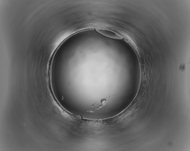 X0000091081103200708061332