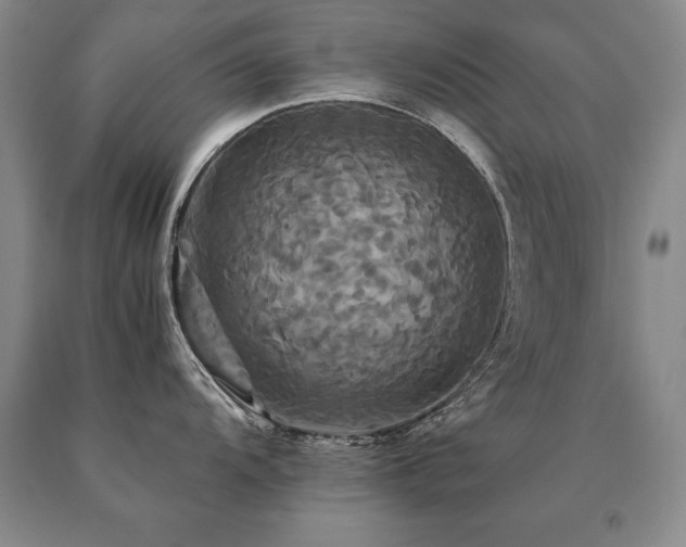 X0000091081104200708061332