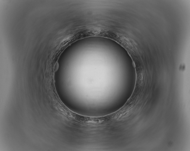 X0000091081105200708061331