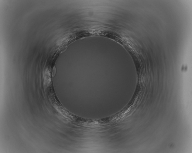 X0000091081106200708061331