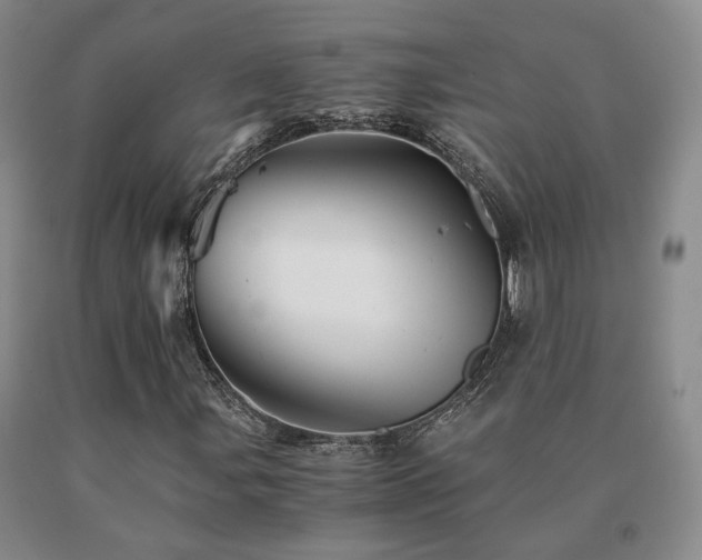 X0000091081107200708061331
