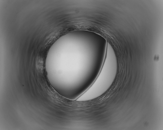 X0000091081108200708061331
