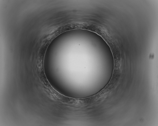 X0000091081109200708061331
