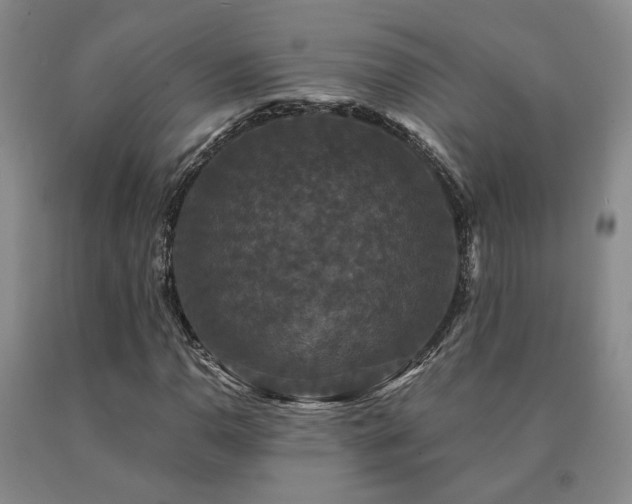 X0000091081110200708061331
