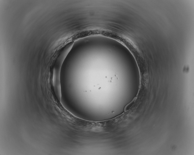 X0000091081111200708061331