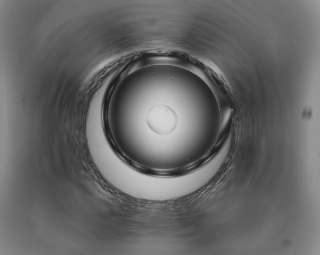 X0000091081112200708061331