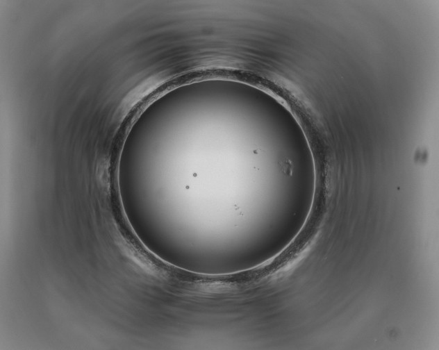 X0000091081113200708061331