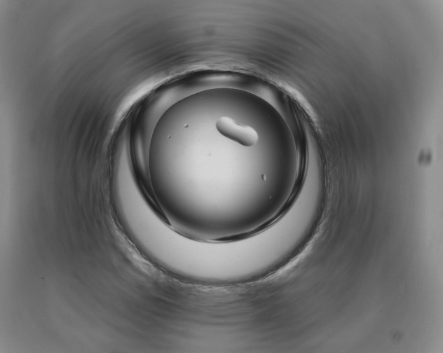 X0000091081114200708061331