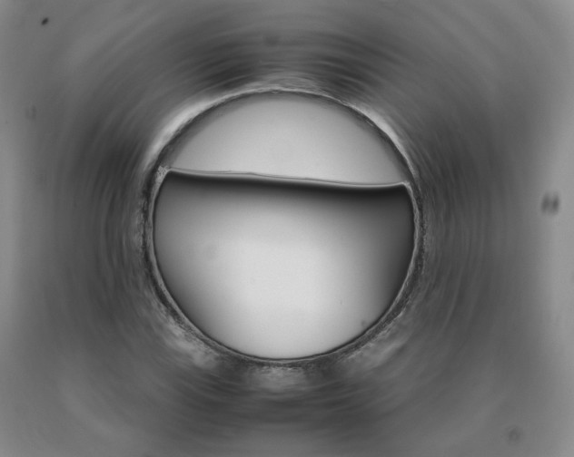 X0000091081115200708061331