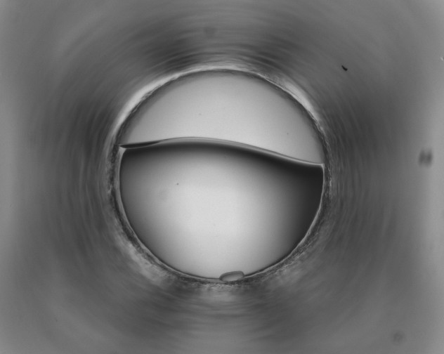 X0000091081116200708061331