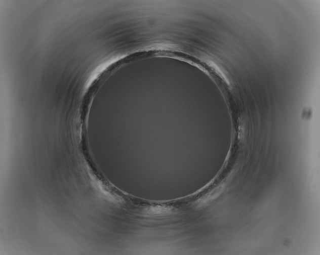 X0000091081117200708061331