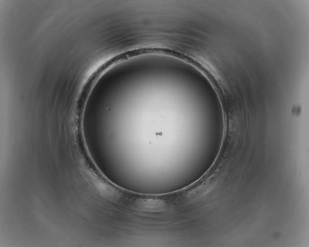 X0000091081119200708061331