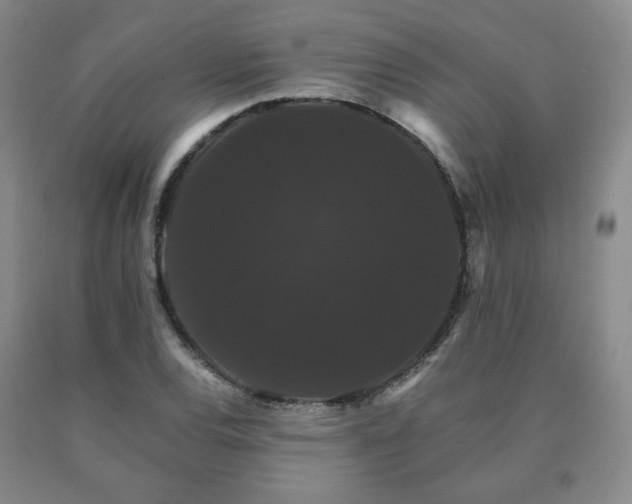 X0000091081120200708061331