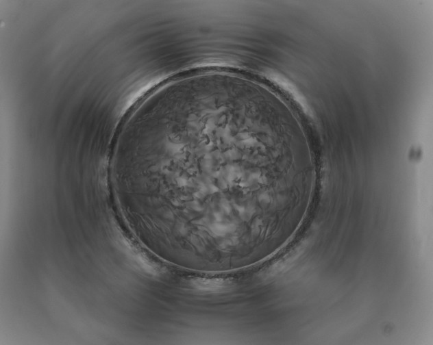 X0000091081121200708061331