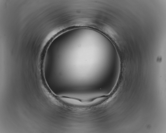 X0000091081122200708061331
