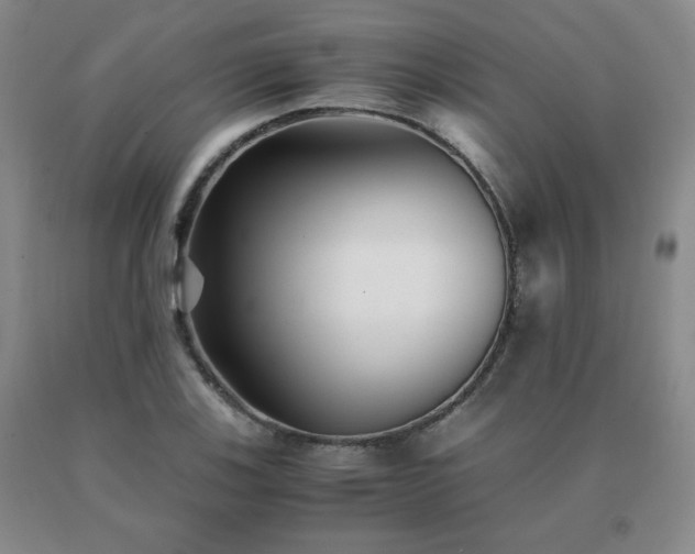 X0000091081123200708061331