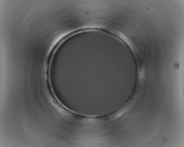 X0000091081124200708061331