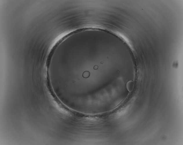 X0000091081125200708061331