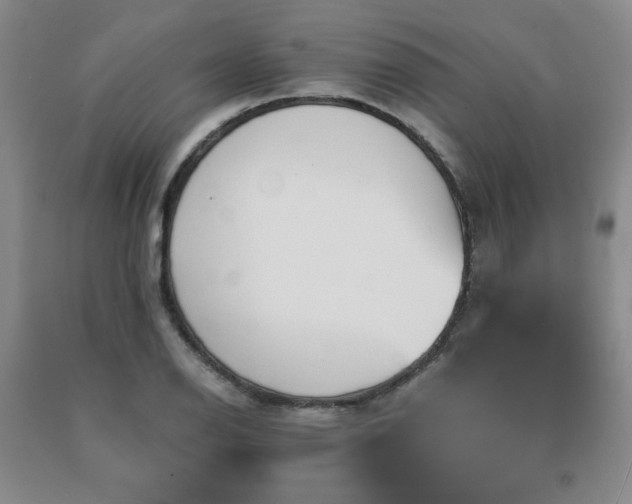 X0000091081126200708061331