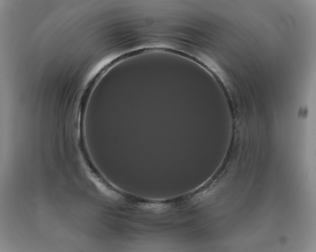 X0000091081127200708061331