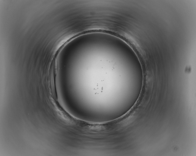 X0000091081129200708061331