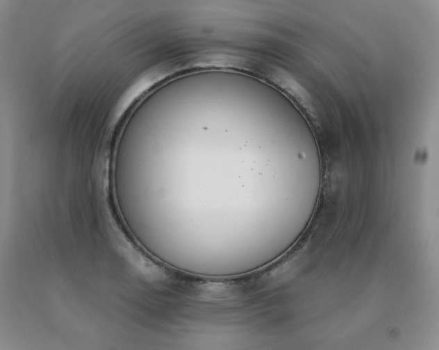 X0000091081130200708061331