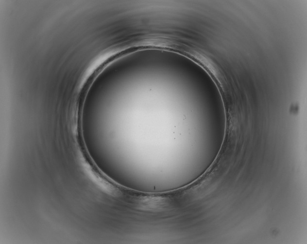 X0000091081131200708061331