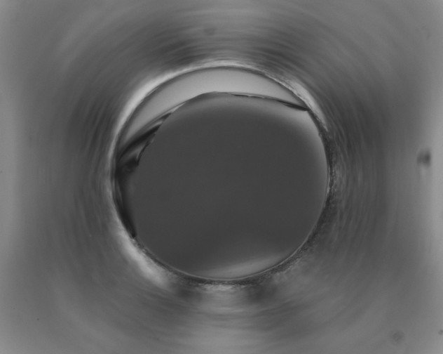 X0000091081132200708061331