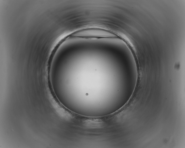 X0000091081133200708061331