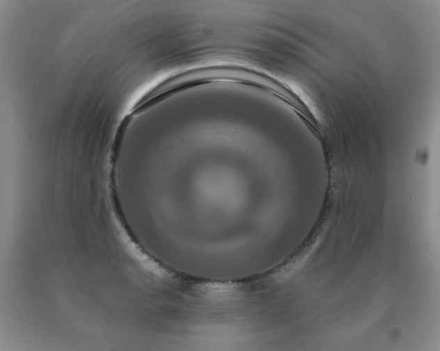 X0000091081134200708061331