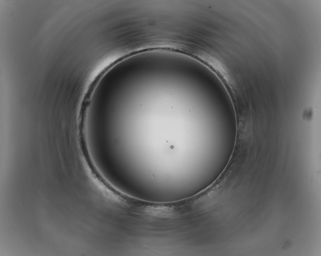 X0000091081135200708061331