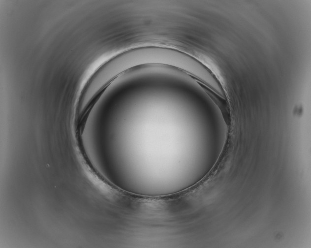 X0000091081136200708061331