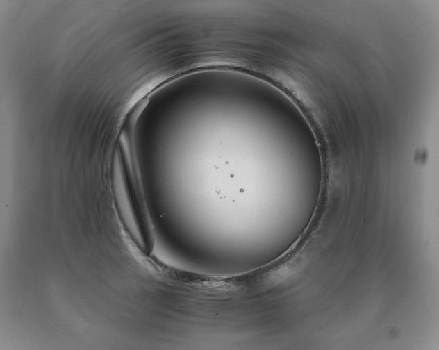 X0000091081137200708061331