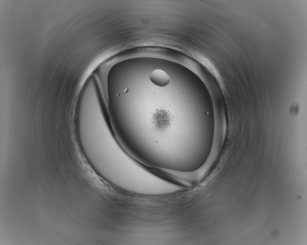 X0000091081138200708061331