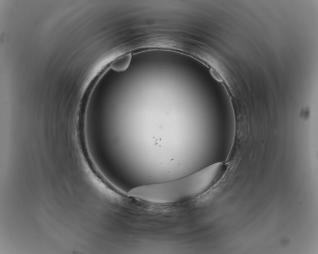 X0000091081139200708061331