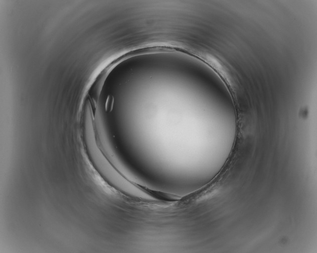 X0000091081140200708061331