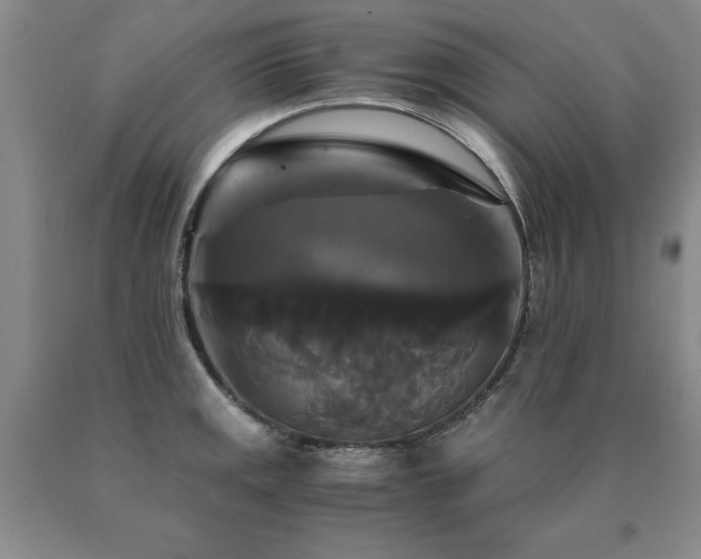 X0000091081141200708061331