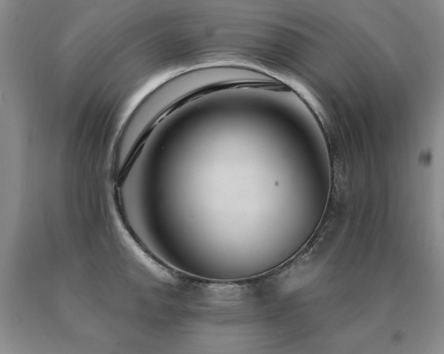 X0000091081142200708061331