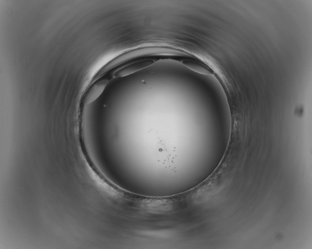 X0000091081143200708061331