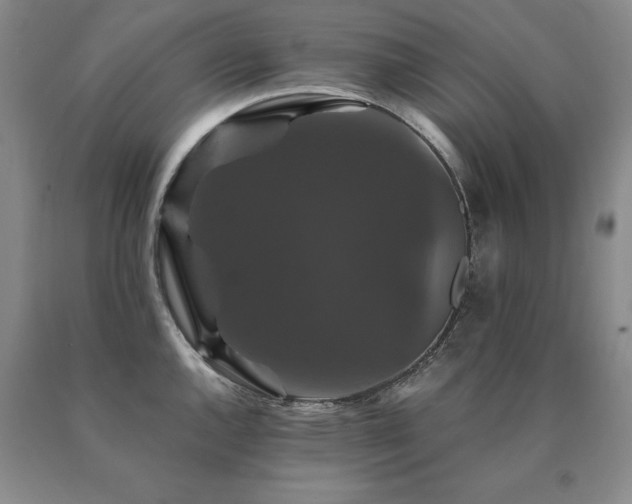 X0000091081144200708061332