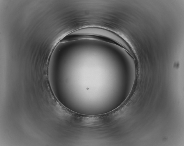 X0000091081145200708061332