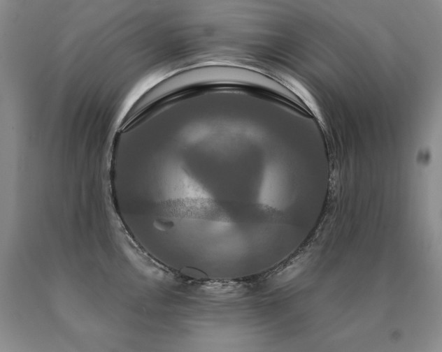 X0000091081146200708061332