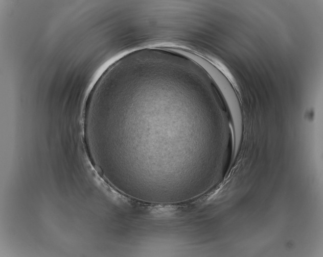 X0000091081148200708061332