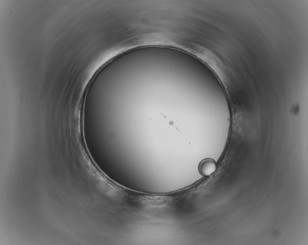 X0000091081150200708061332