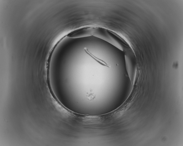 X0000091081151200708061332