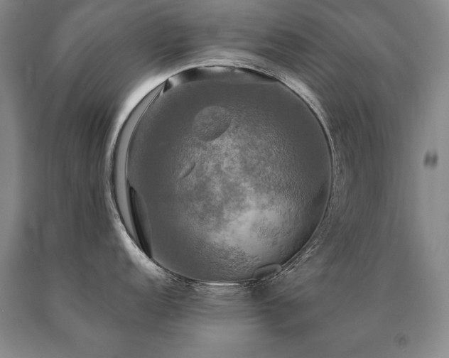 X0000091081152200708061332