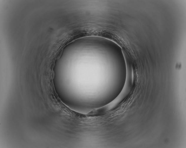 X0000091081153200708061331